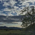 eva padberg adoptiert einen hund aus dem tierheim – erfahren sie, warum das internet zwischen mitgefühl und spott gespalten ist.